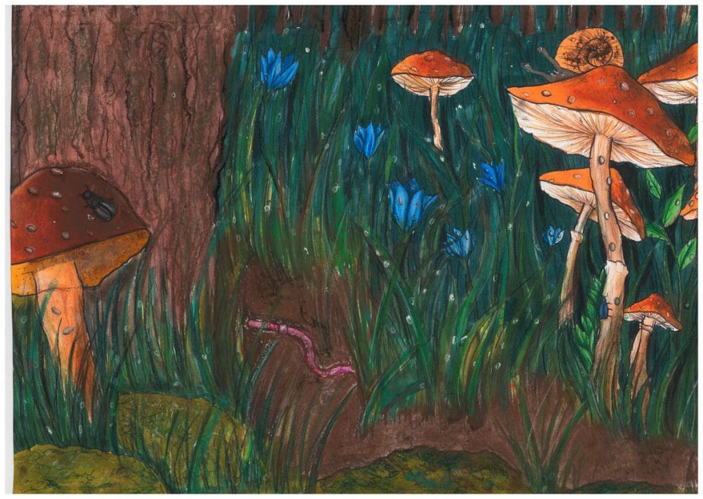 I MIEJSCE klasy VII-VIII