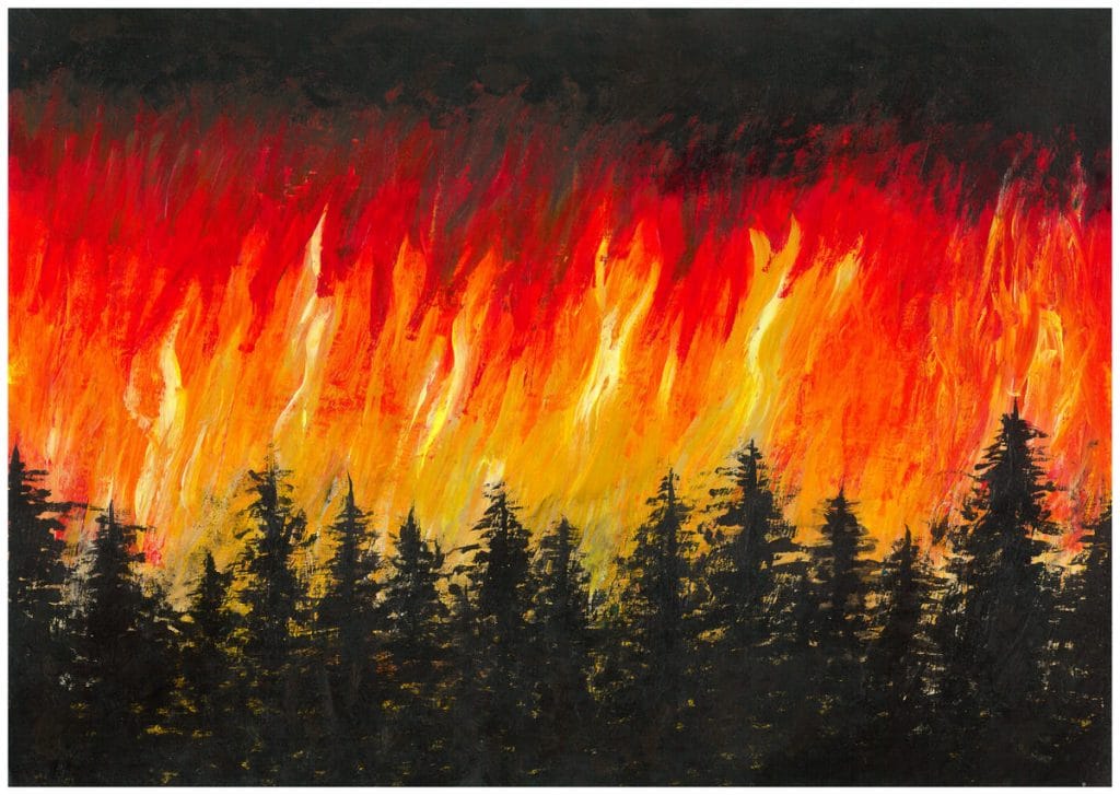 II MIEJSCE klasy VII-VIII