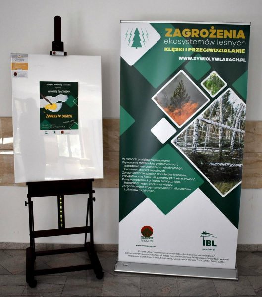 Sztaluga wraz z podobraziem