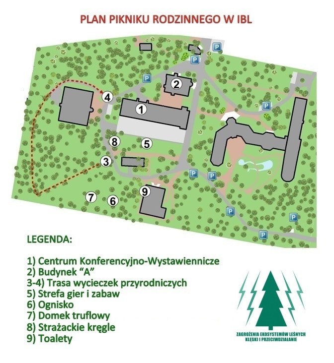Plan pikniku rodzinnego