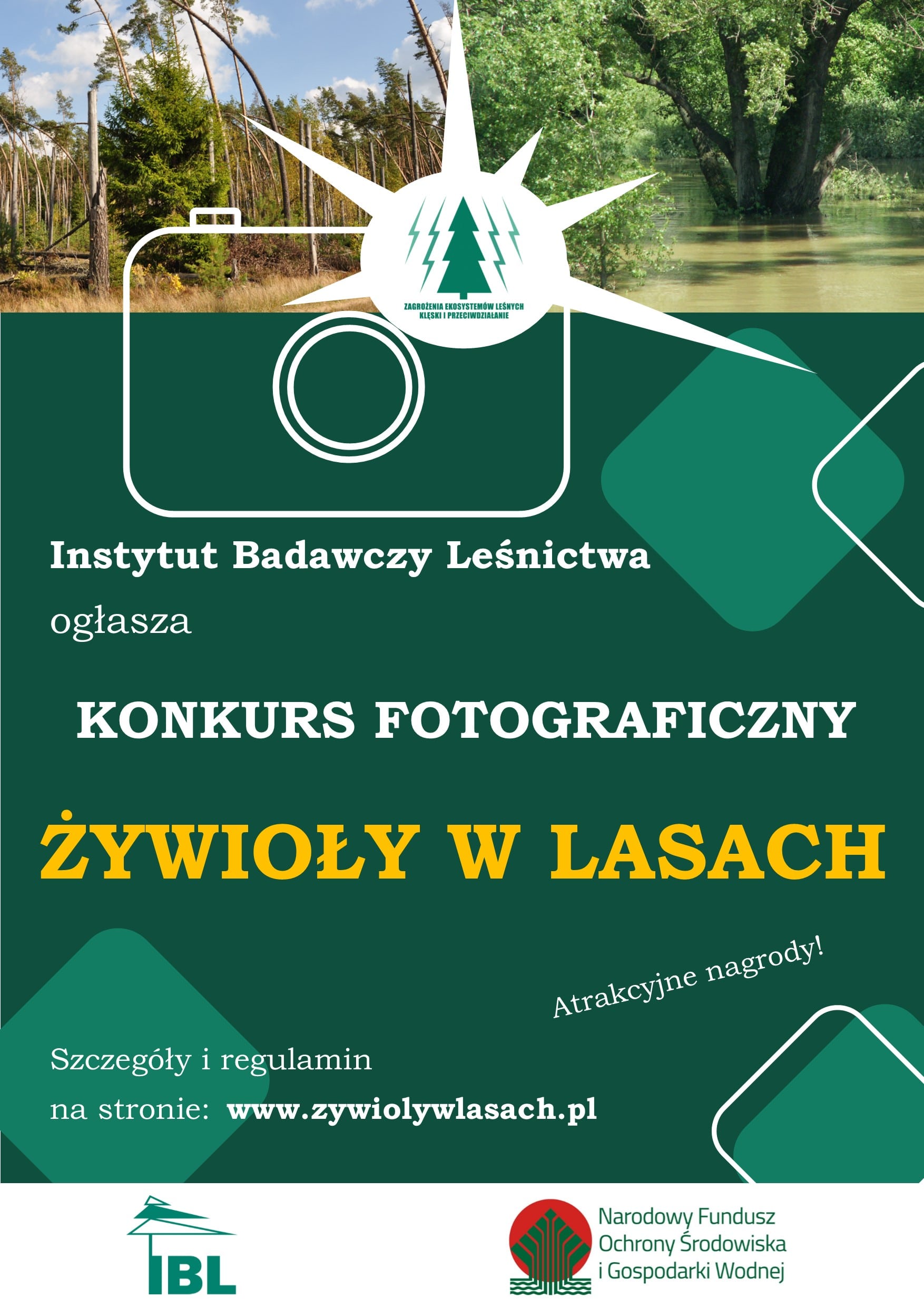 Konkurs fotograficzny „Cztery żywioły w lasach"